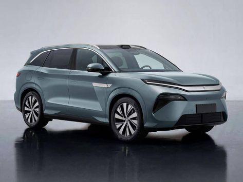 Tang L, 2025