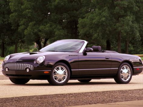 Thunderbird, 2001–2005