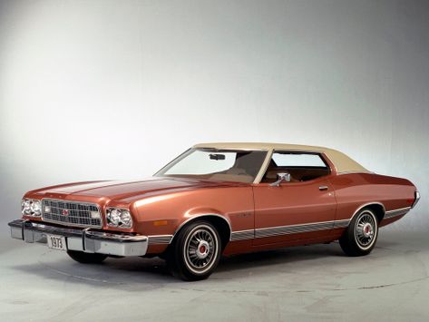 Torino, 1973–1974