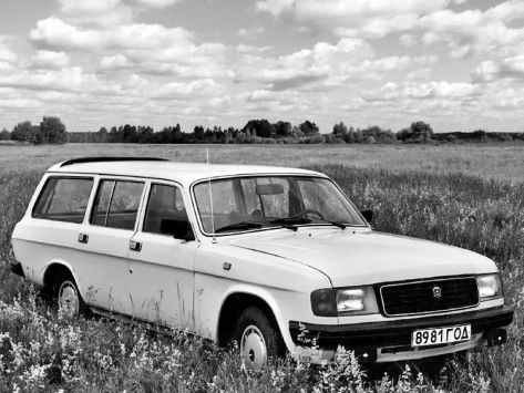 31029 Волга