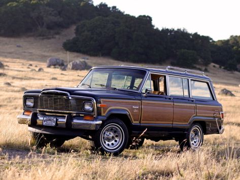 Wagoneer, SJ, 1981–1983