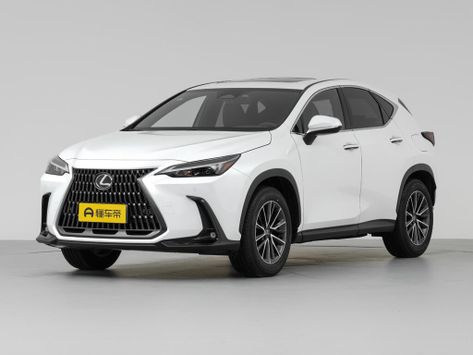 NX200
