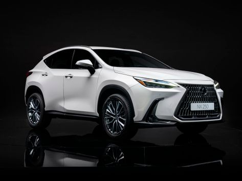 NX250, AZ20, 2021–2022
