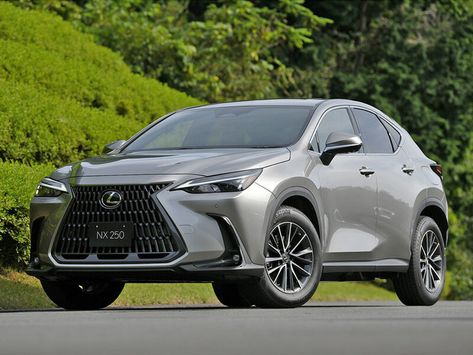 NX250