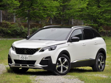 3008, 2017–2020