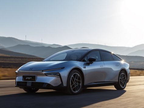 P7+, 2024