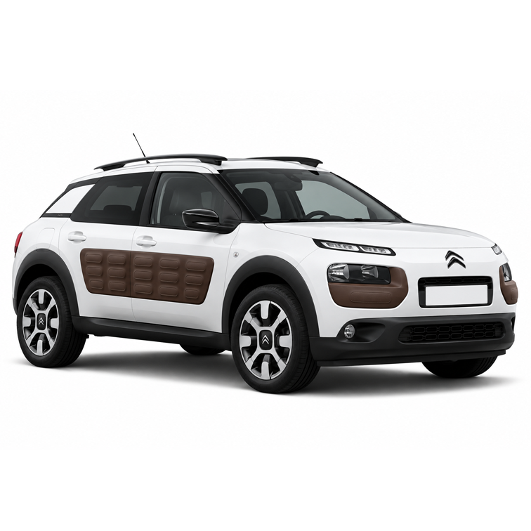 C4 Cactus
